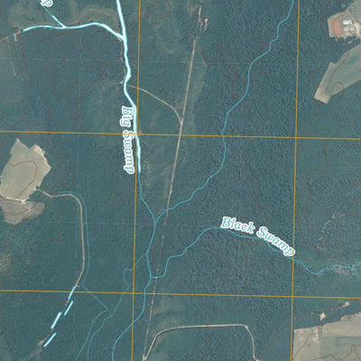 Tar Heel, NC (2010, 24000-Scale) Preview 2