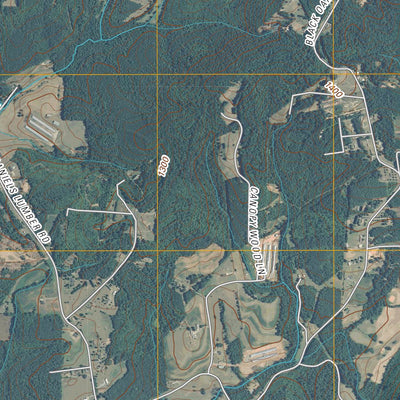 Taylorsville, NC (2010, 24000-Scale) Preview 3