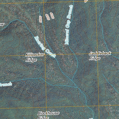 Thunderhead Mountain, NC-TN (2010, 24000-Scale) Preview 2