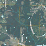 Vicksboro, NC (2010, 24000-Scale) Preview 2