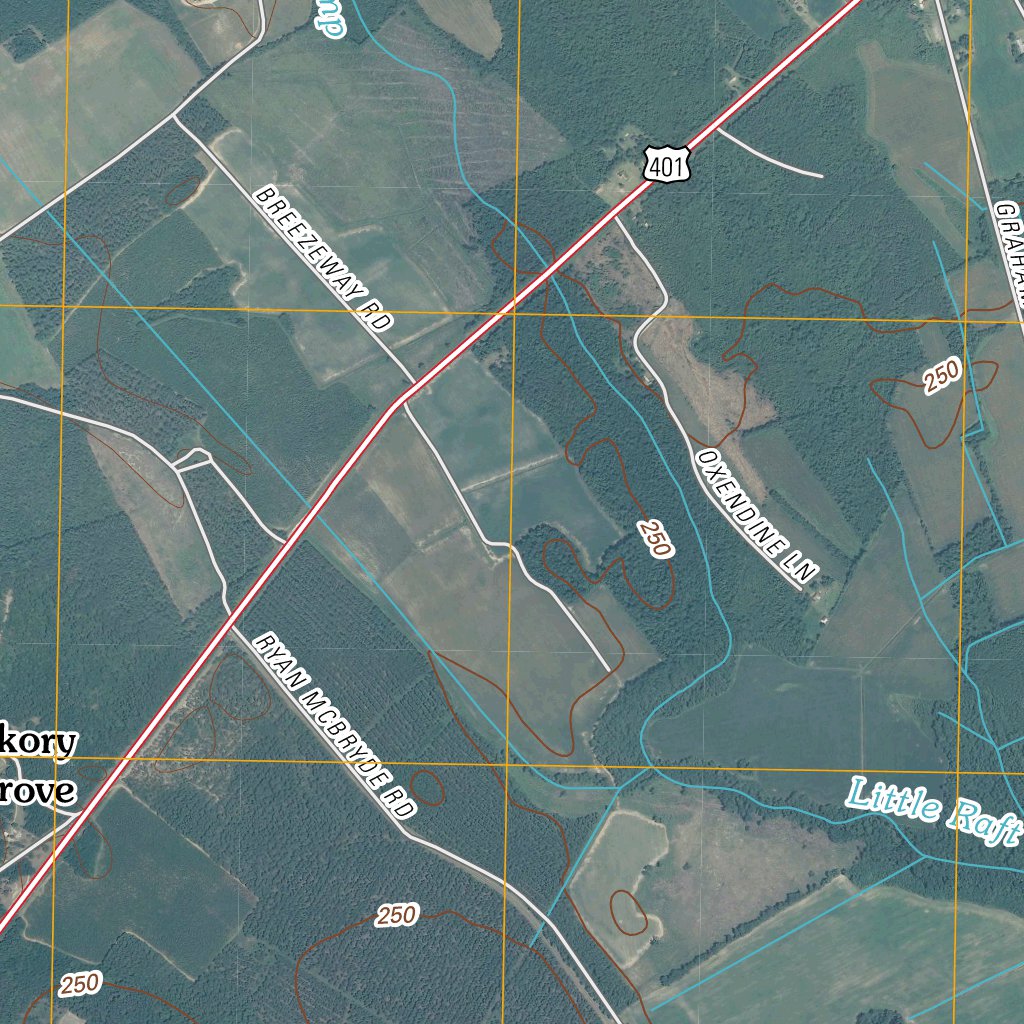 Wagram, NC (2010, 24000Scale) Map by United States Geological Survey