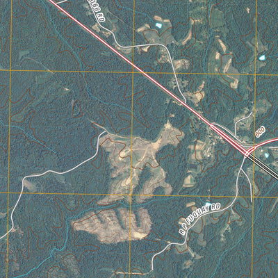 Yanceyville, NC (2010, 24000-Scale) Preview 3