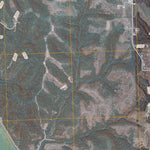 Rock Bluff, NE-IA (2010, 24000-Scale) Preview 3