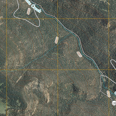Agua Fria Peak, NM (2010, 24000-Scale) Preview 3