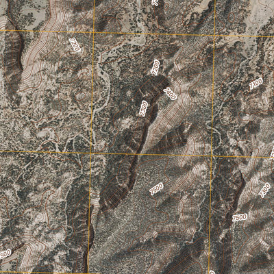 Armstrong Canyon, NM (2011, 24000-Scale) Preview 3
