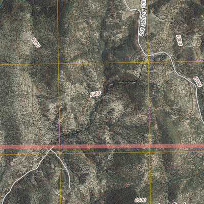 Bear Springs Peak, NM (2011, 24000-Scale) Preview 2