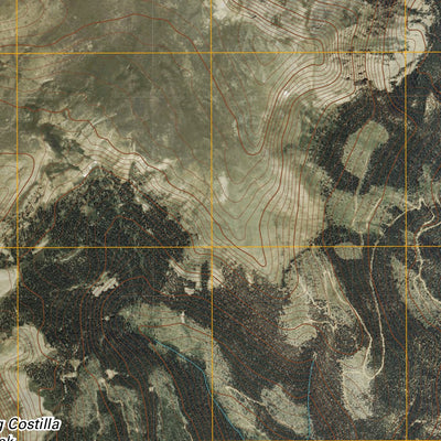Big Costilla Peak, NM-CO (2010, 24000-Scale) Preview 2