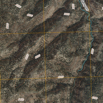 Bonner Canyon, NM (2011, 24000-Scale) Preview 3