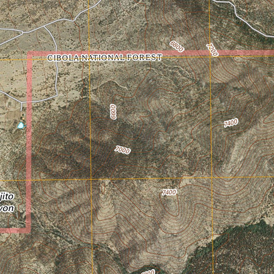 Bosque Peak, NM (2011, 24000-Scale) Preview 2