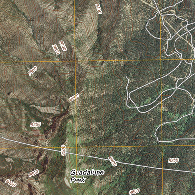 Bosque Peak, NM (2011, 24000-Scale) Preview 3