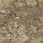 Camaleon Draw East, NM (2010, 24000-Scale) Preview 2