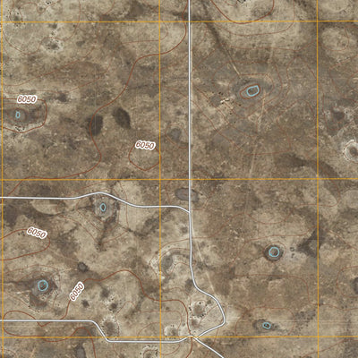 Camaleon Draw East, NM (2010, 24000-Scale) Preview 2