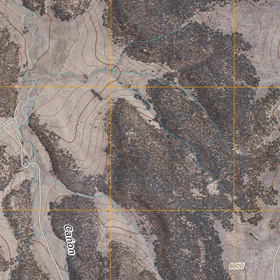 Canon Pedroso, NM (2010, 24000-Scale) Preview 3