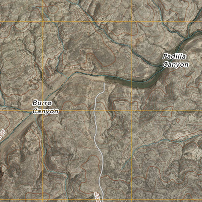 Chivata Canyon, NM (2010, 24000-Scale) Preview 3