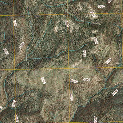 Cordova Canyon, NM (2011, 24000-Scale) Preview 3