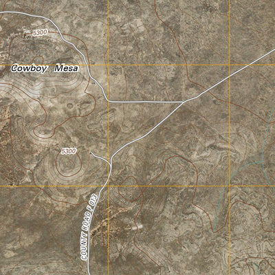 Cowboy Mesa, NM (2010, 24000-Scale) Preview 3