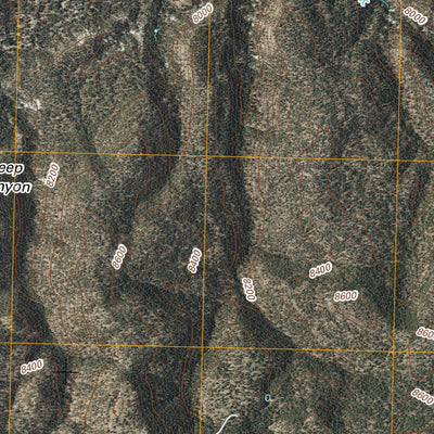 Gallo Mountains West, NM (2011, 24000-Scale) Preview 3
