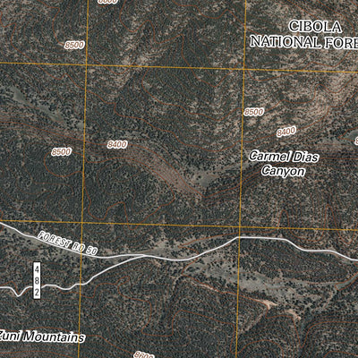 Kettner Canyon, NM (2011, 24000-Scale) Preview 2