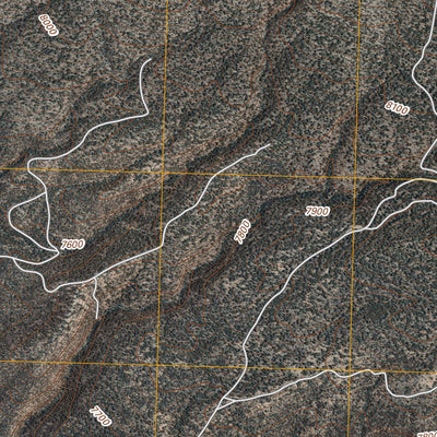 Kettner Canyon, NM (2011, 24000-Scale) Preview 3