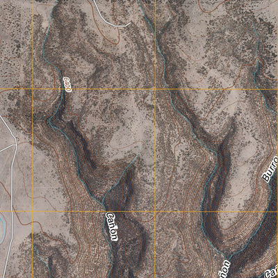 Laguna Huerfana, NM (2010, 24000-Scale) Preview 2