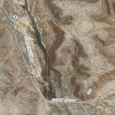 Lewis Canyon, NM (2010, 24000-Scale) Preview 2