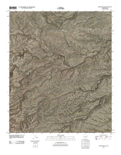 Lewis Peak NE, NM (2010, 24000-Scale) Preview 1