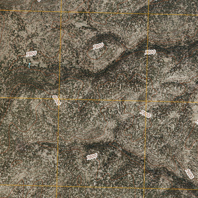 Lilley Mountain, NM (2011, 24000-Scale) Preview 2