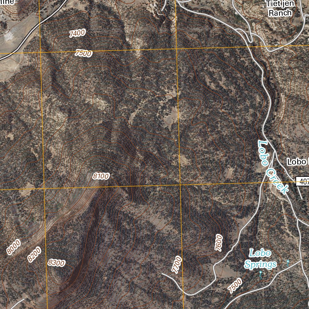 Lobo Springs, NM (2011, 24000-Scale) Map by United States Geological ...