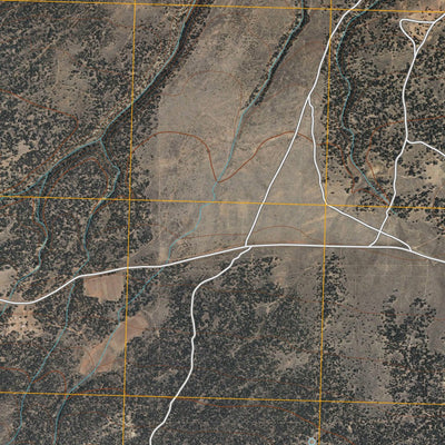 Mariano Lake, NM (2010, 24000-Scale) Preview 2
