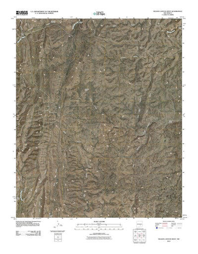 Nelson Canyon West, NM (2010, 24000-Scale) Preview 1