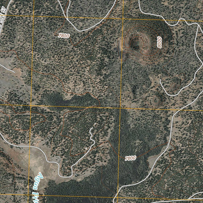 Paxton Springs, NM (2011, 24000-Scale) Preview 2