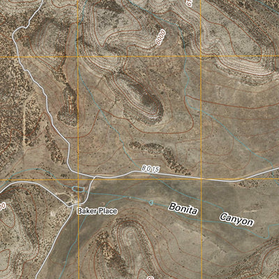 Red Bluff Draw West, NM (2010, 24000-Scale) Preview 2