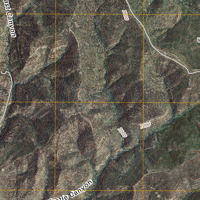 Red River Peak, NM (2010, 24000-Scale) Preview 3