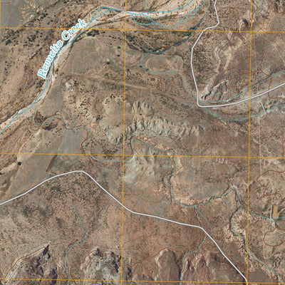 San Jon NW, NM (2010, 24000-Scale) Preview 2