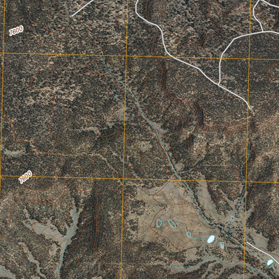 Shoemaker Canyon, NM (2010, 24000-Scale) Preview 3