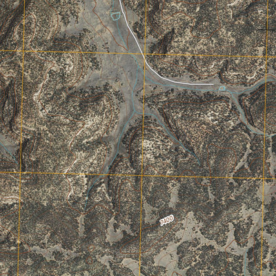 Shoemaker Canyon SE, NM (2010, 24000-Scale) Preview 3