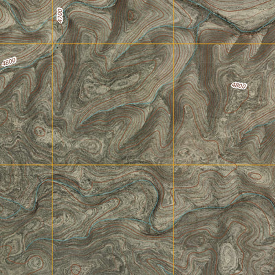 Skunk Canyon, NM (2010, 24000-Scale) Preview 2