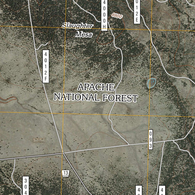 Slaughter Mesa, NM (2011, 24000-Scale) Preview 2