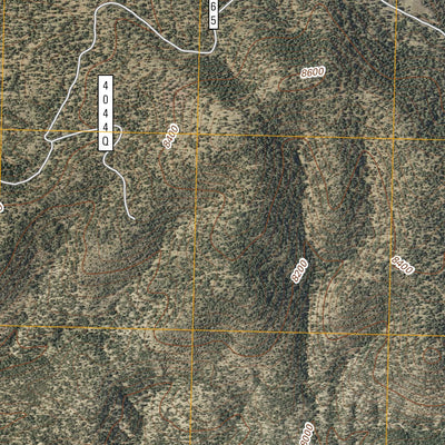 Telephone Canyon, NM (2011, 24000-Scale) Preview 3
