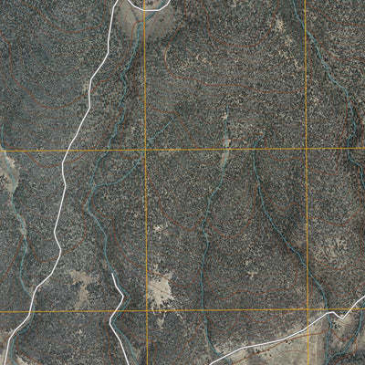 Tres Piedras NE, NM (2010, 24000-Scale) Preview 3