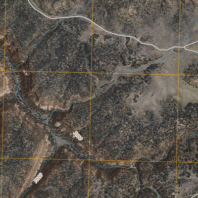 Upper Galestina Canyon, NM (2010, 24000-Scale) Preview 2