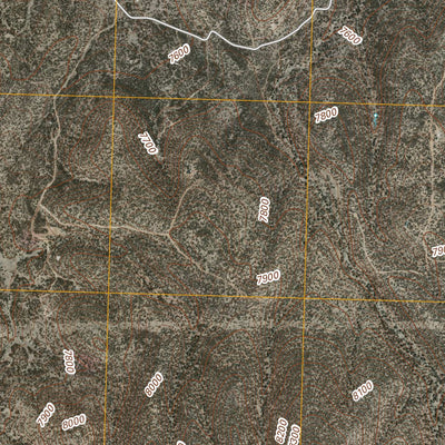 Wallace Mesa, NM (2011, 24000-Scale) Preview 3