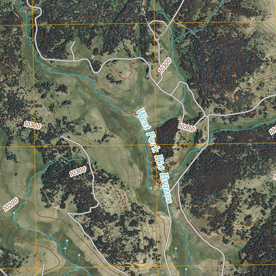 West Fork Rio Brazos, NM-CO (2011, 24000-Scale) Preview 2