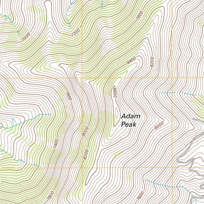 Adam Peak, NV (2011, 24000-Scale) Preview 3