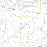 Gooch Lake, NV (2011, 24000-Scale) Preview 2