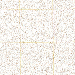 Lone Rock SE, NV (2011, 24000-Scale) Preview 2