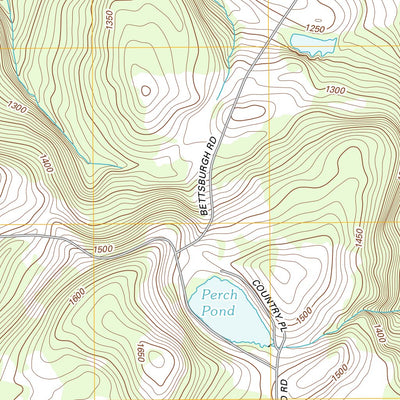 Afton, NY (2013, 24000-Scale) Preview 2