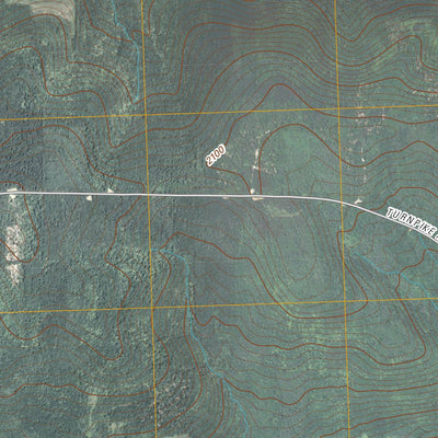 Alfred, NY (2010, 24000-Scale) Preview 2