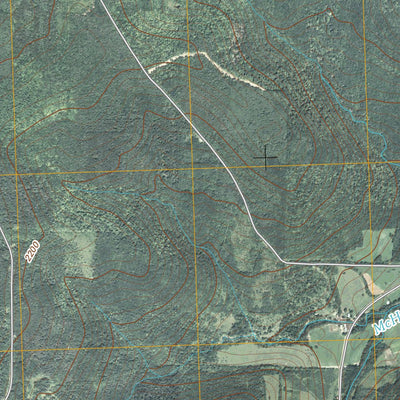 Alfred, NY (2010, 24000-Scale) Preview 3