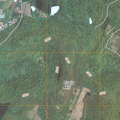 Andes, NY (2010, 24000-Scale) Preview 3